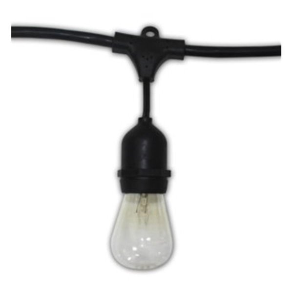 Aspen Brands Aspen Brands LS482418LEDC 48 ft. 18 guage Suspended Commercial Grade Outdoor String Lights with LED Bulbs - Black & Clear LS482418LEDC